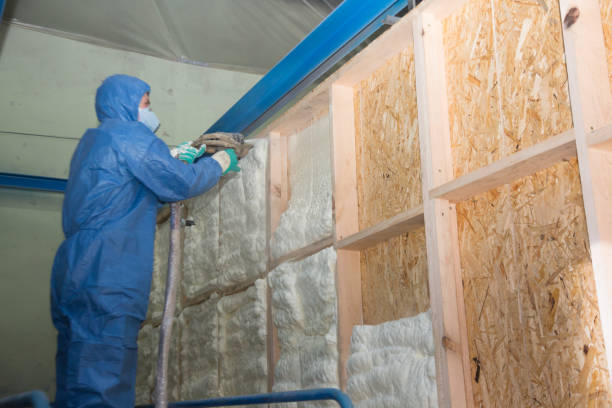 Best Insulation Contractor Near Me  in USA